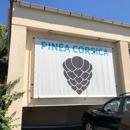 Apartamento Duplex rénové les pieds dans l'eau Calvi  Exterior foto
