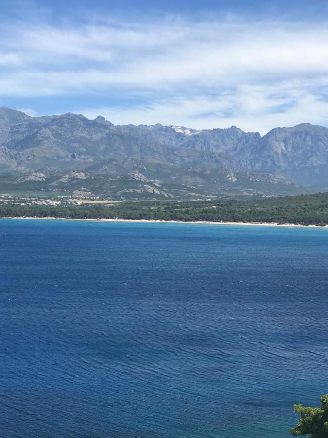 Apartamento Duplex rénové les pieds dans l'eau Calvi  Exterior foto