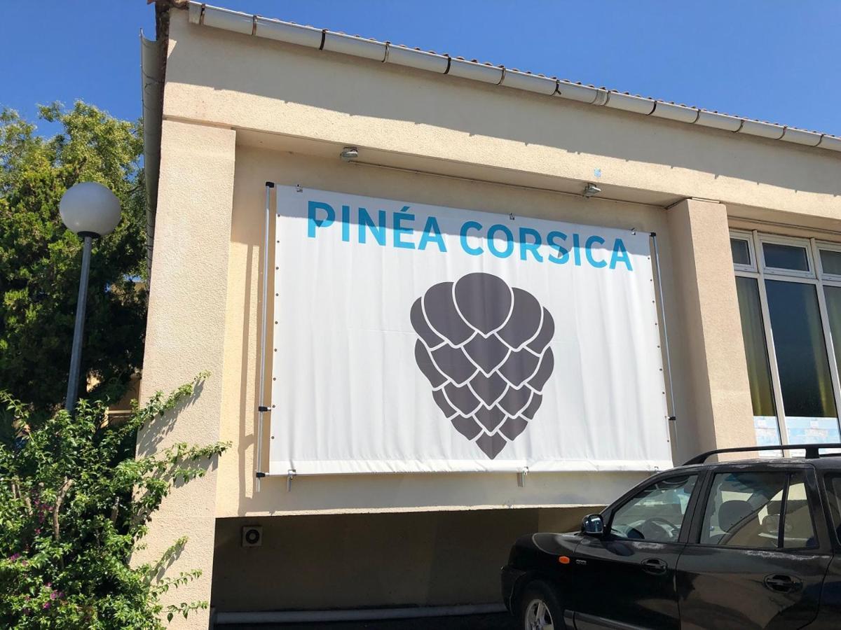 Apartamento Duplex rénové les pieds dans l'eau Calvi  Exterior foto